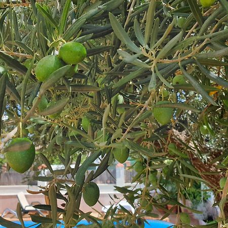 Alojamiento El Olivo Ronda Habitación foto